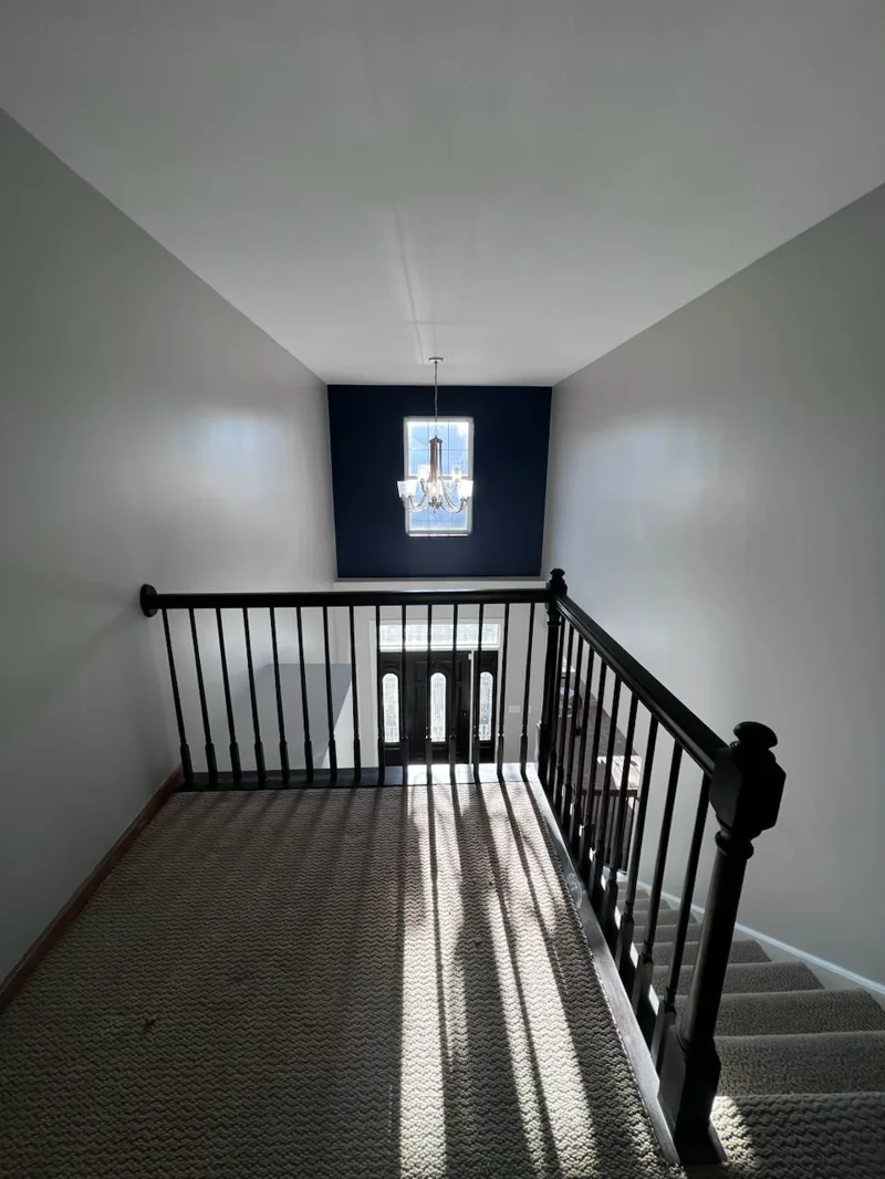 Deep navy walls and white trim painted in an open living space