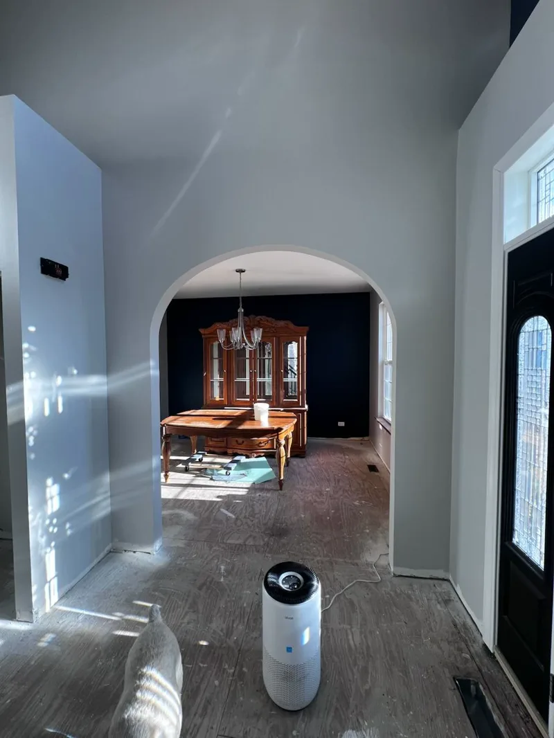 Navy accent wall finished in a living space
